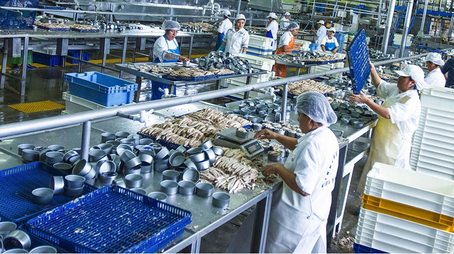 Cómo está el sector manufactura en el Perú?