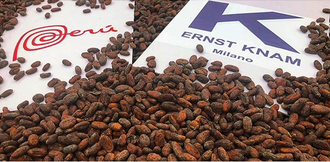 Our Chuncho cocoa, considered one of the finest in the world, arrives in Italy.