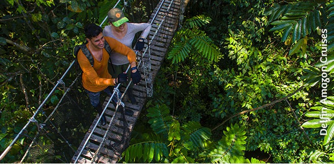 Explorar y aventurarte en la selva puede ser tu próximo plan de vacaciones.