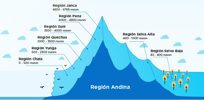 Las 8 regiones naturales del Perú