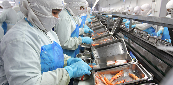 Workers pack shrimp at a processing plant in reference to investment opportunities in Peru.