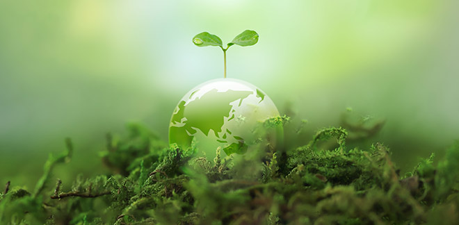 5 sustainability criteria for exporting companies