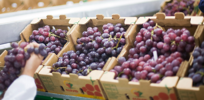 On the grape route:  Peru ranks among the world's top exporters of this superfood