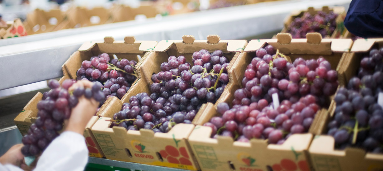 On the grape route:  Peru ranks among the world's top exporters of this superfood