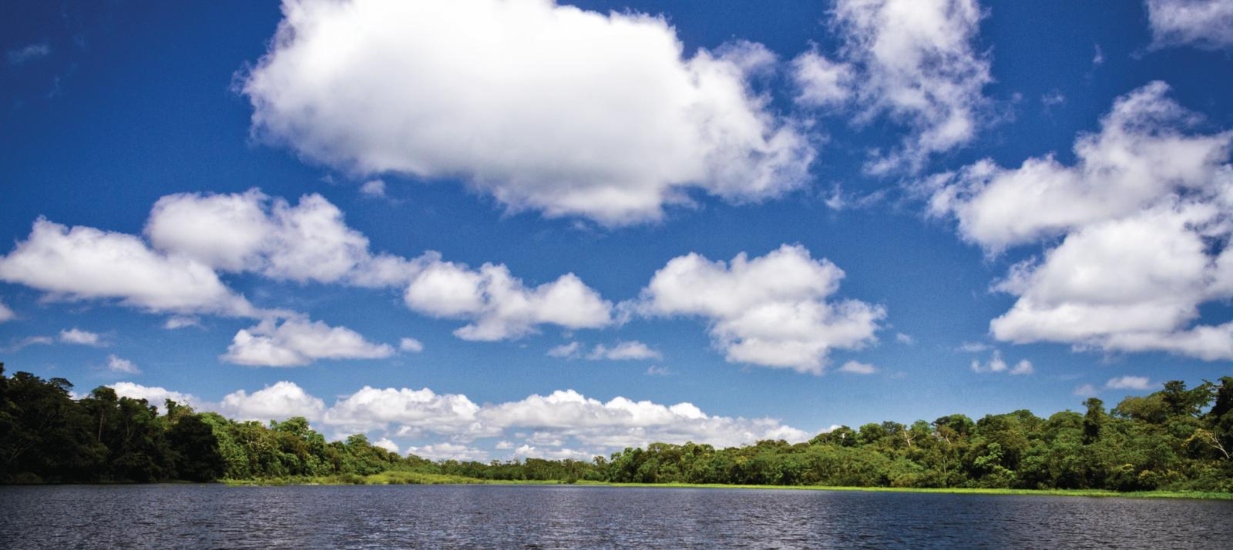 Paisaje de la selva peruana mostrando un río o lago rodeado de densa vegetación y un cielo azul con nubes blancas. Esta diversidad de locaciones como Loreto y Amazonas es promovida en el Marché du Film de Cannes
