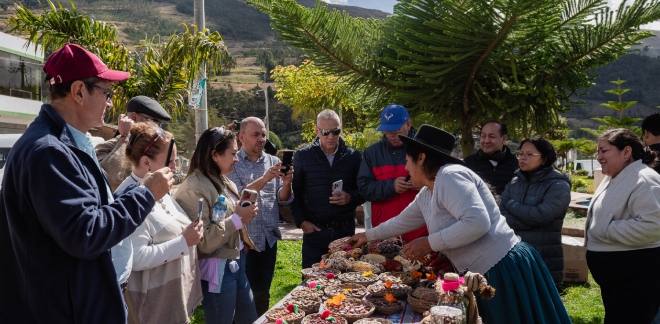 Productores andinos mostrando sus granos (quinua, cañihua, kiwicha) a compradores internacionales en un evento en Andahuaylas, Apurímac, como parte de una rueda de negocios.