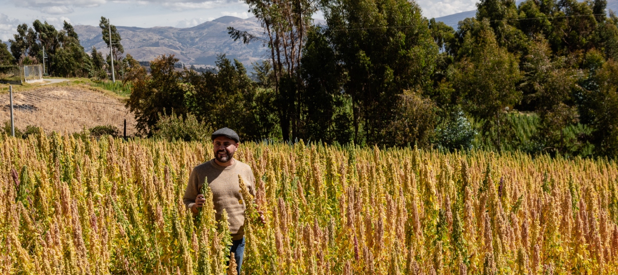 Productores andinos mostrando sus granos (quinua, cañihua, kiwicha) a compradores internacionales en un evento en Andahuaylas, Apurímac, como parte de una rueda de negocios.