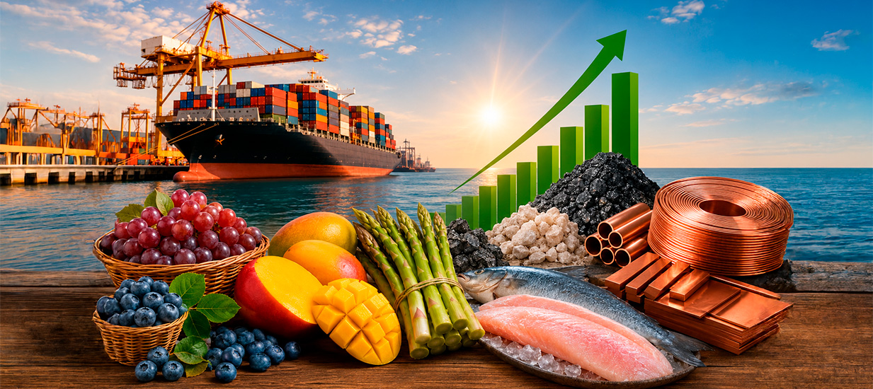 Exportaciones
