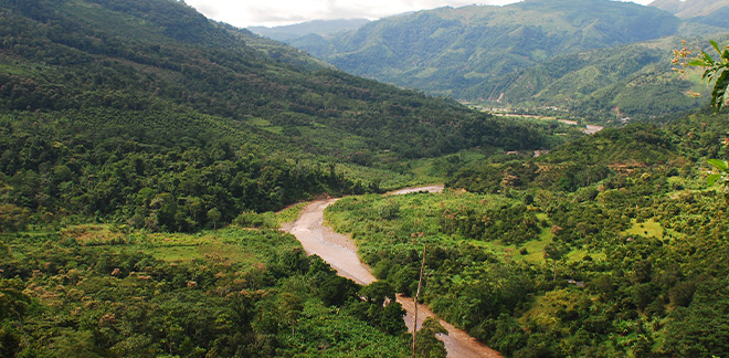 Naturaleza