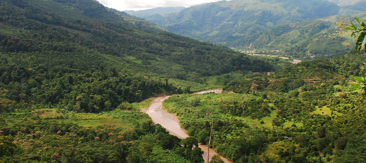 Naturaleza