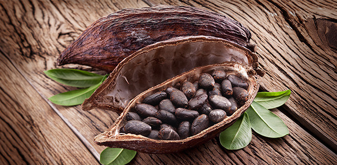 Salón del Cacao y Chocolate Internacional