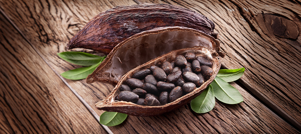 Salón del Cacao y Chocolate Internacional
