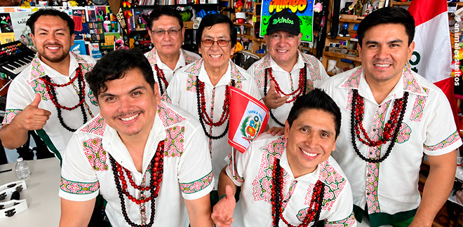 Los Mirlos