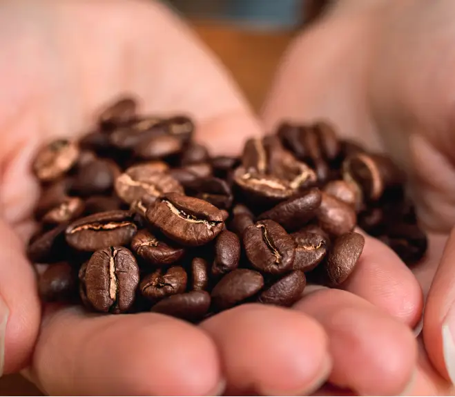 Manos con granos de café