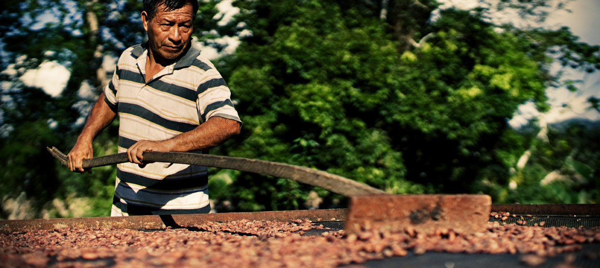 Exponentes el café y cacao peruano reciben capacitación para diligencia en la Unión Europea