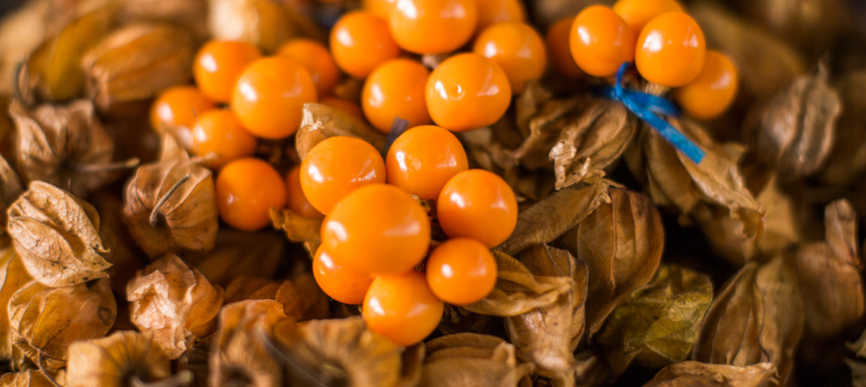 5 superfoods from Peru required by the world, golden berry