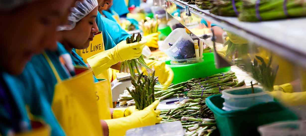 razones para invertir en la industria alimentaria de Perú