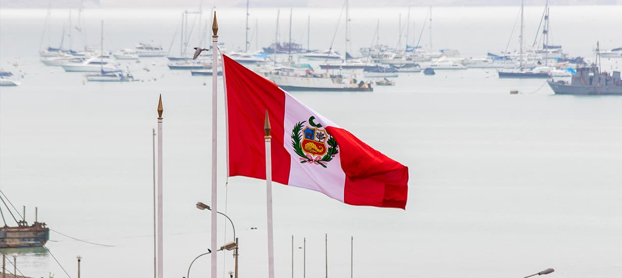 Los símbolos patrios de Perú: Conoce la historia de nuestra identidad nacional