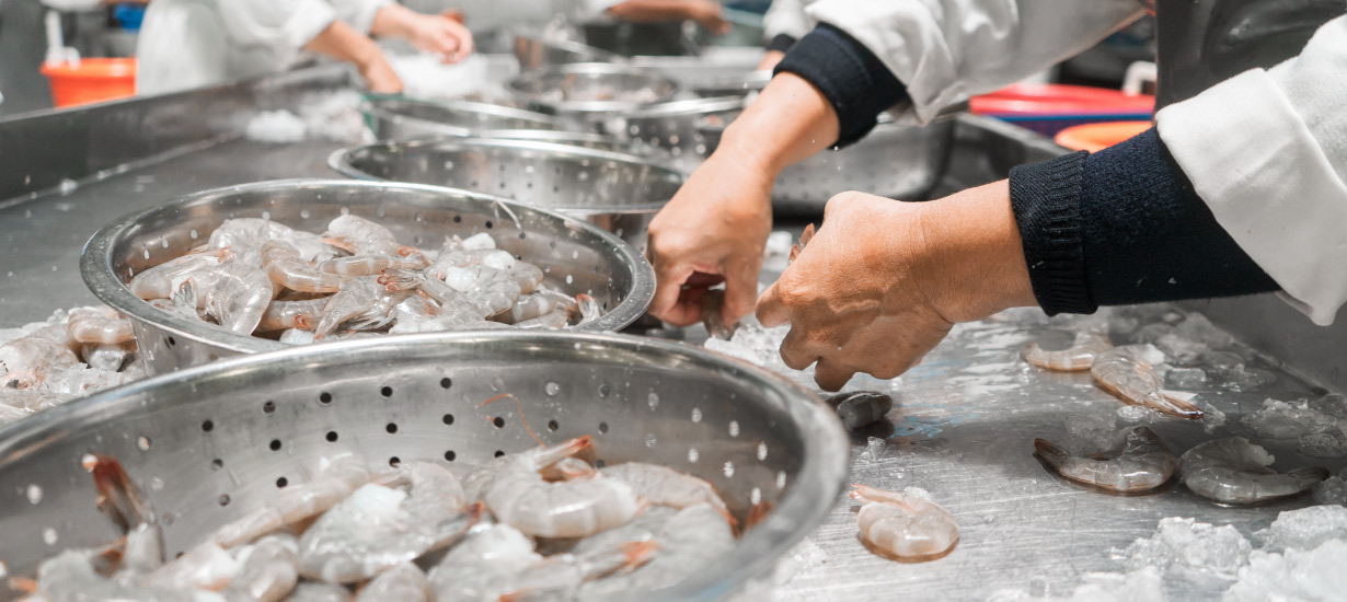 plantas procesadoras de alimentos