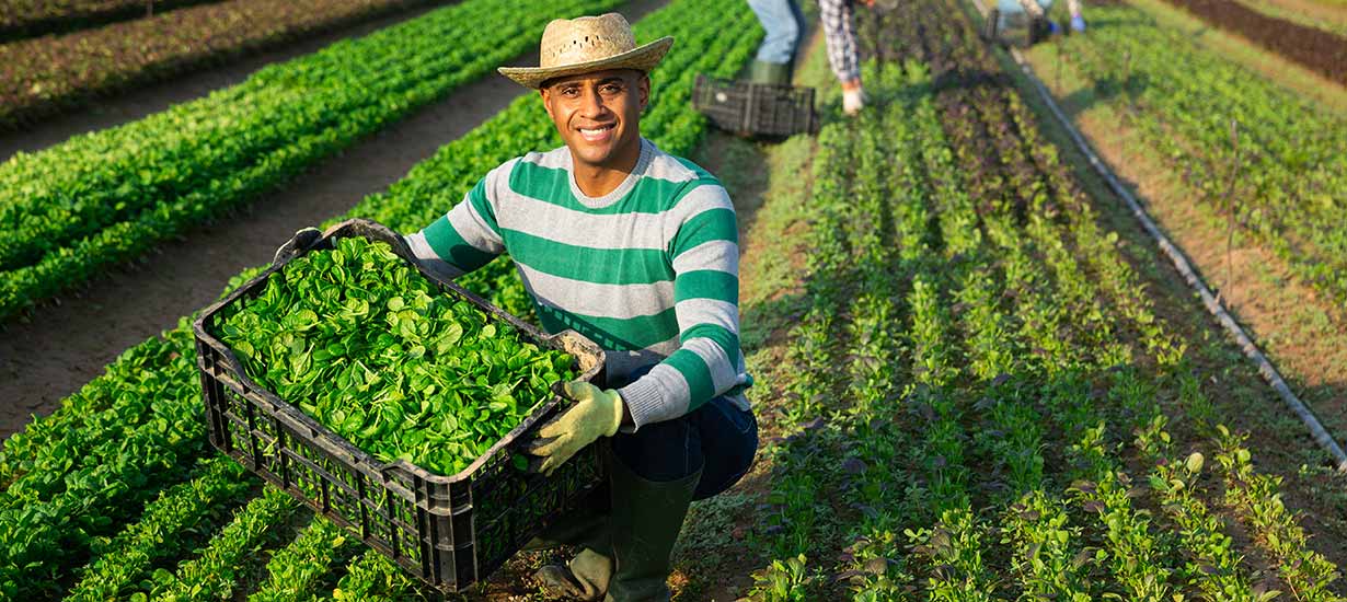 5 criterios de sostenibilidad en las empresas exportadoras