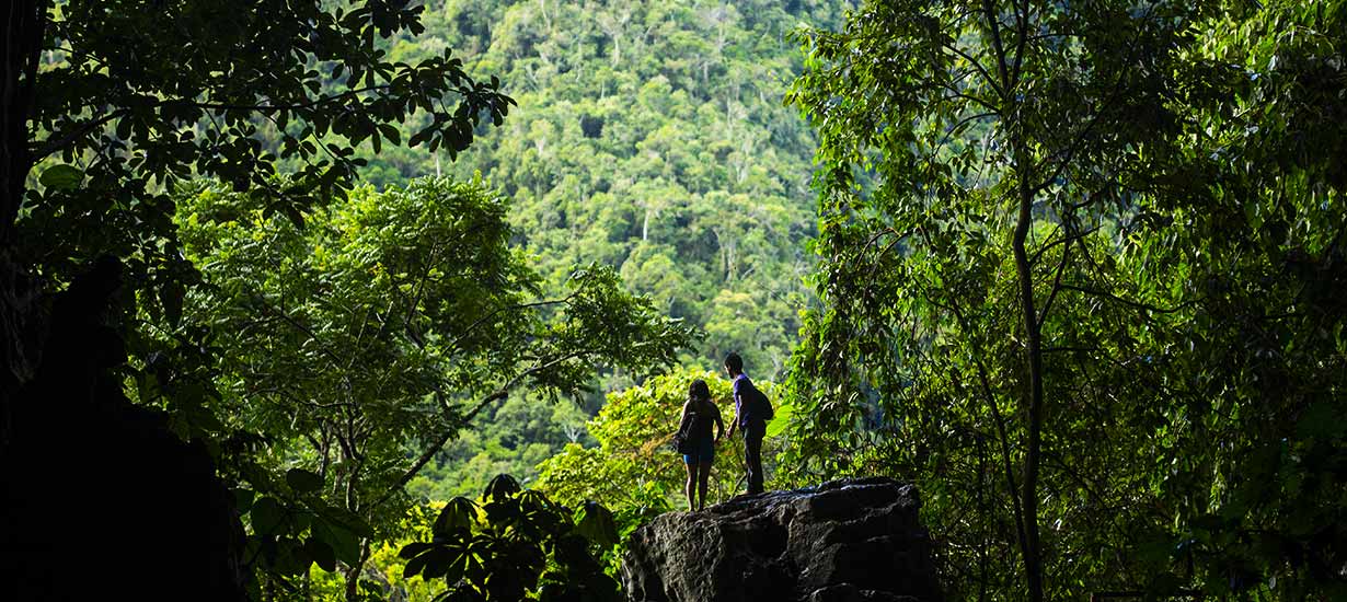 Parque Nacional Tingo María: 
Lugar natural certificado en Turismo Sostenible