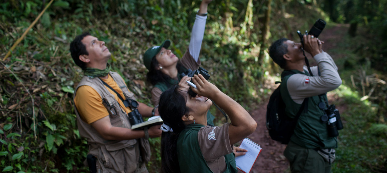 Parque Nacional Tingo María: 
Lugar natural certificado en Turismo Sostenible