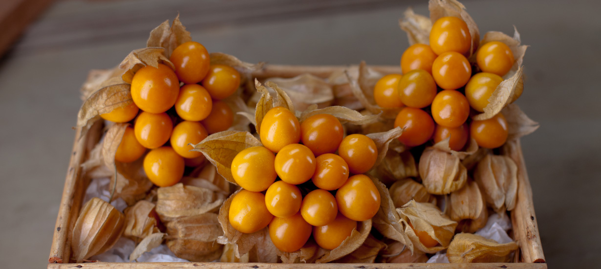 World Food Day:
Why should you include these Peruvian superfoods in your diet?