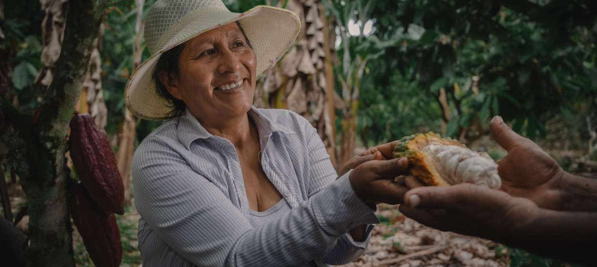 Cacao y Chocolate Peruano: Conoce las variedades de este superfood, sus beneficios y su producción sostenible