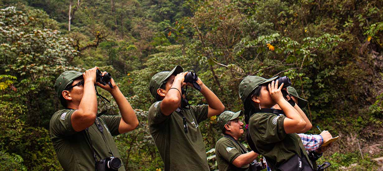 Natural soul: Discover Peru's natural protected areas and their importance