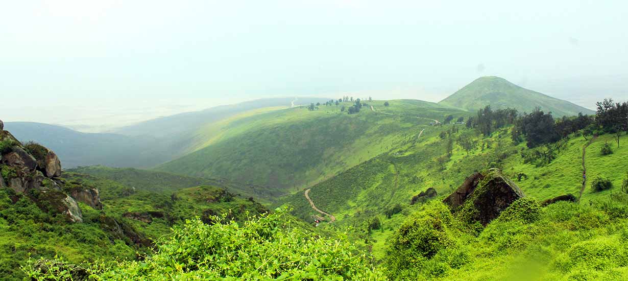 Natural soul: Discover Peru's natural protected areas and their importance