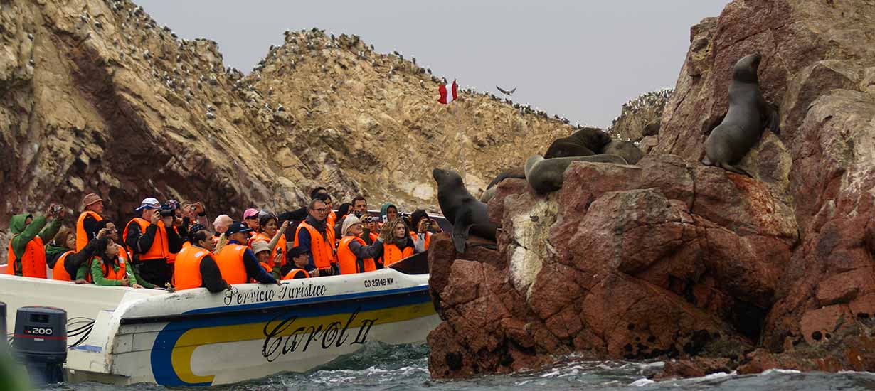 Natural soul: Discover Peru's natural protected areas and their importance