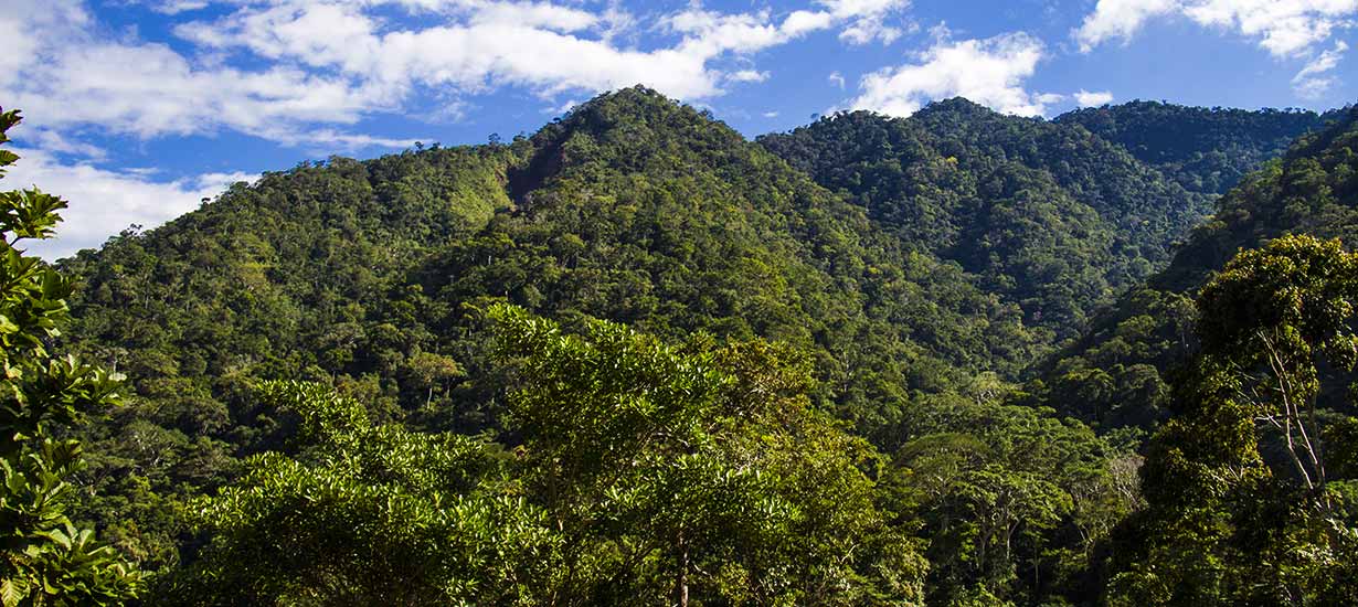 Alma natural: conoce las Áreas Naturales Protegidas del Perú y por qué son importantes