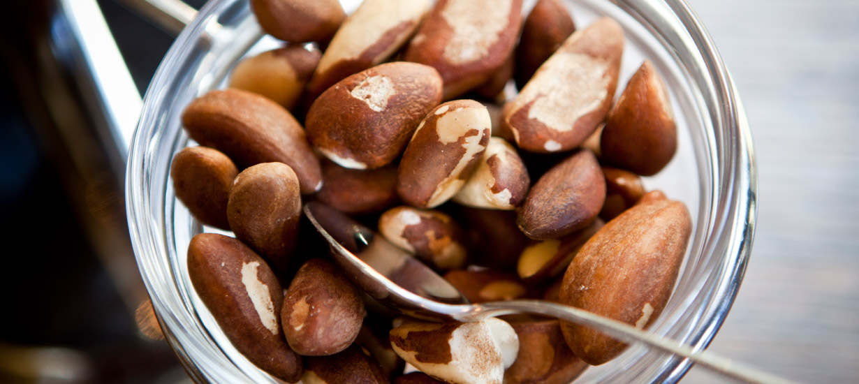 Chestnuts: The Amazonian superfood fighting obesity and taking the world by storm