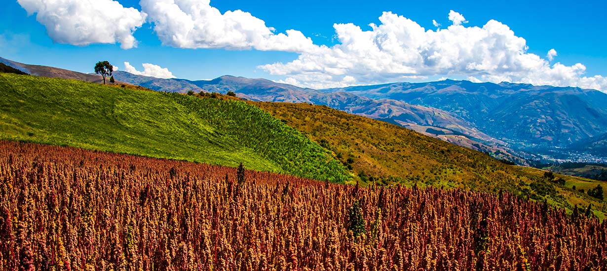 Perú destaca en la lista de los Mejores Pueblos Turísticos 2024 de la ONU