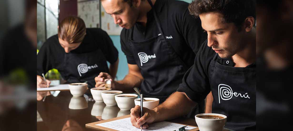 Cafés del Perú: Conoce el origen, diversidad y especialidad del café peruano de exportación