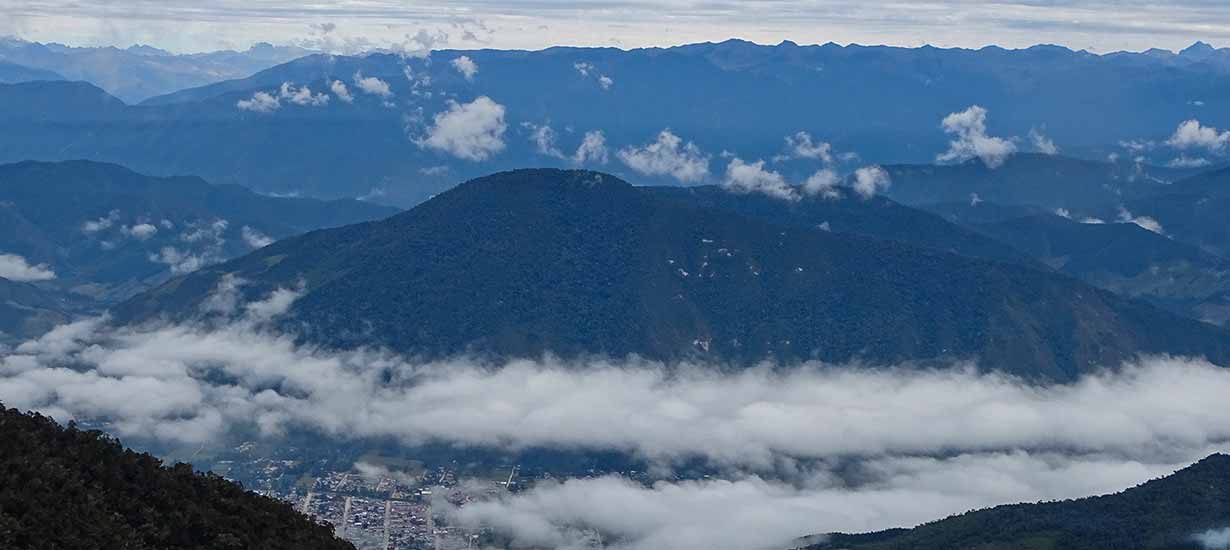 5 refugios de animales para conocer la diversidad del Perú: Conócelos aquí