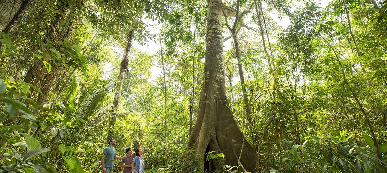 Perú brillará en FITUR 2025 con tradición y aventura