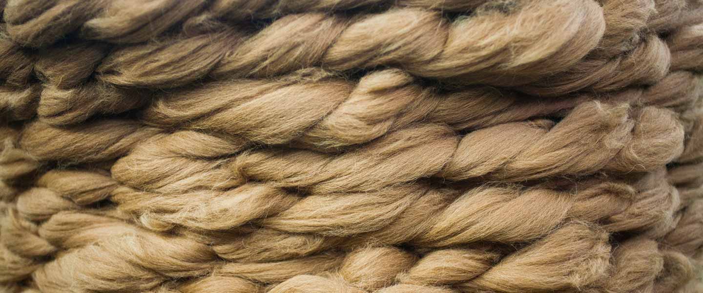 Alpaca fiber: Uncover the value chain from softness to well-being