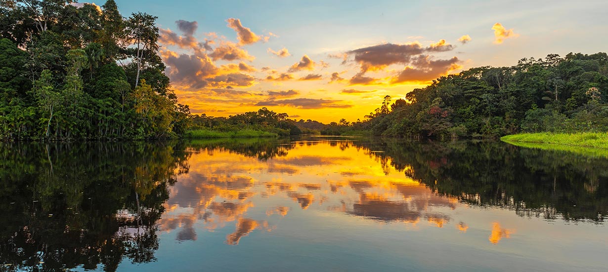 Pacaya Samiria: Discover what this national reserve has to offer