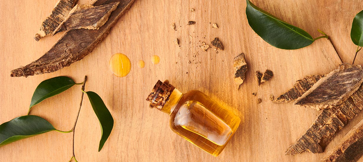 Plantas medicinales de la selva peruana: Sabiduría tradicional para la salud