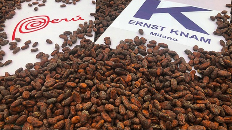 Our Chuncho cocoa, considered one of the finest in the world, arrives in Italy.