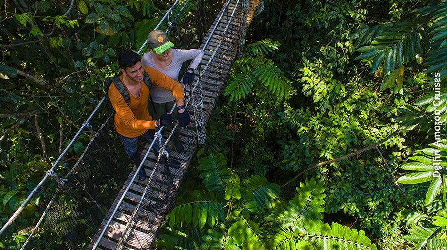 Exploring and venturing into the jungle can be your next vacation plan.