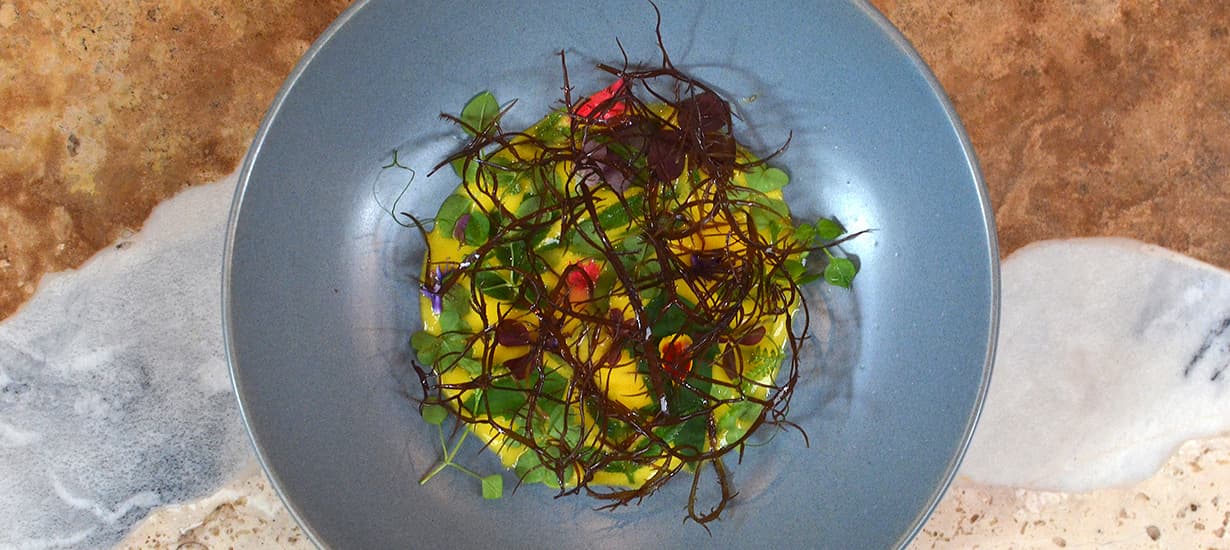 Seaweed, from the sea to the table