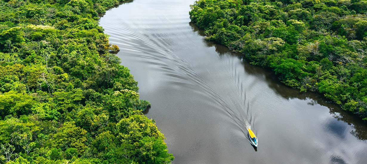 Peruvian superfoods in Brazil