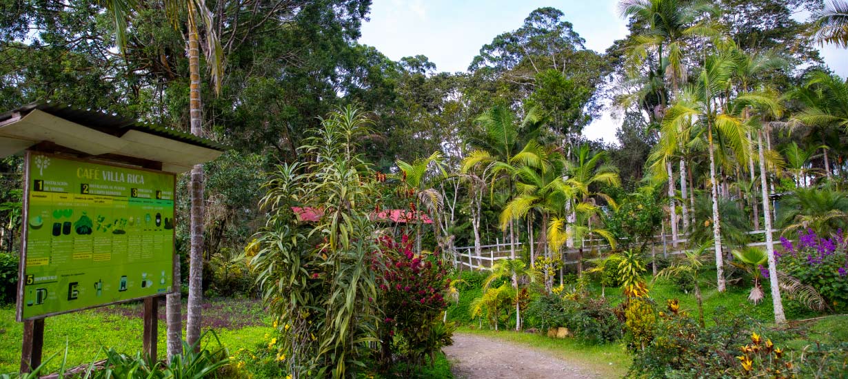 Ruta del Café por las regiones del Perú 