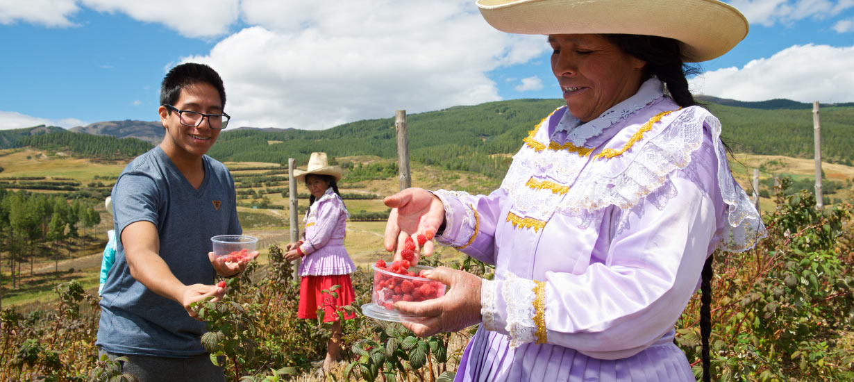 Vive experiencias reales con el turismo comunitario en Perú